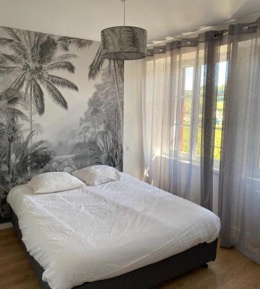 Black And White Swallow Fuiss