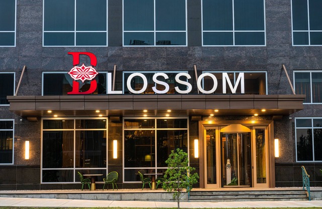 Blossom Hotel Houston