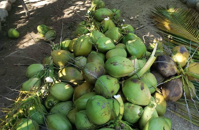 Blue Reef Casita on Rancho Arrecife (2.8 miles sandy beach Baja California Sur)