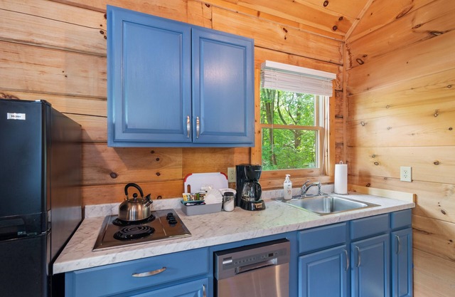 Blue RIdge Pkwy, Jefferson Sleeps 4 - mult. cabins avail. contact us for groups