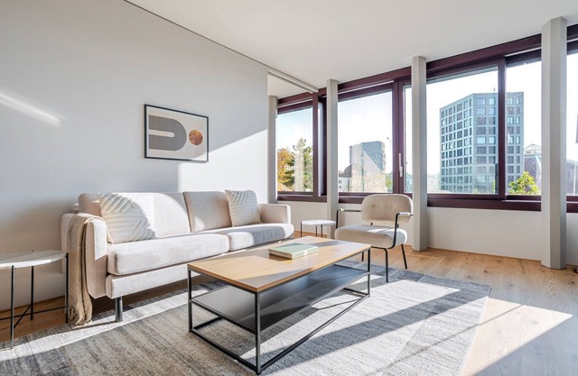 Blueground | Basel-Vorstaedte, view, nr Rhine