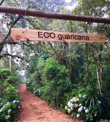 Bosque Contêiner Eco Guaricana