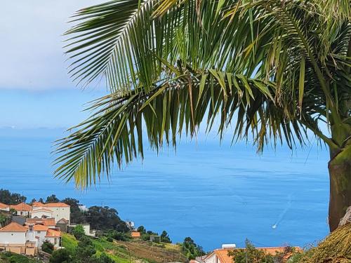 Boutique Chalet in Calheta