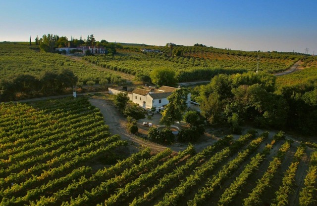Boutique winery with private pool, BBQ and Wifi Ideal for family relaxation.