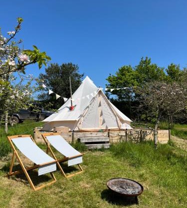Bowhayes Farm - Camping & Glamping - Bell Tents - Cider Orchard