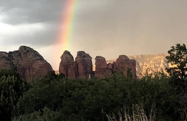 Brand New Luxury Guest Cottage with Kitchenette