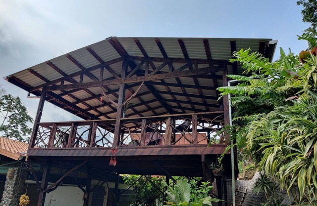 Breakfast With Toucans And Monkeys