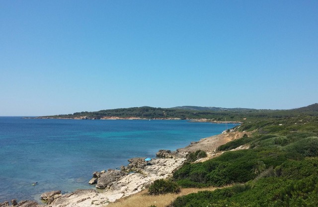 BRIGHT APARTMENT WITHIN WALKING DISTANCE FROM THE SEA