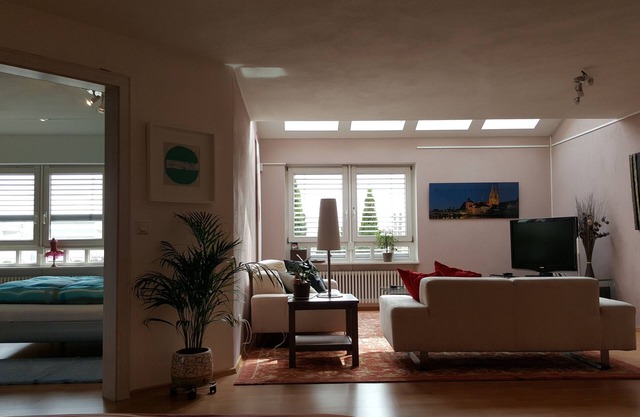 Bright Sunny, and spacious apartment overlooking the Danube in Regensburg