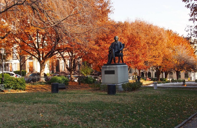 Bright & Sunny Condo Perfect for Professionals Free Wifi Work Space Paid Parking