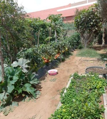 budget friendly space