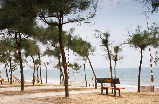 C Resort