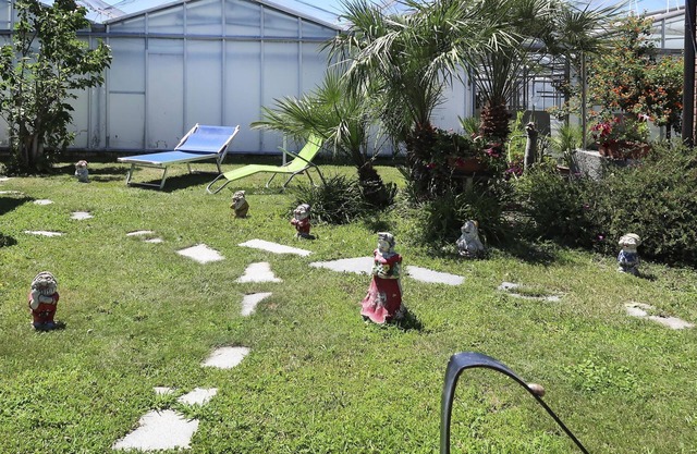 Ca' du Né by Interhome