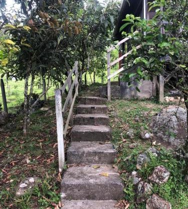 Cabaña El Bosque