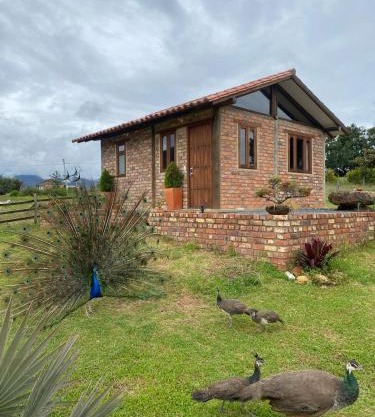 Cabaña lagovilla