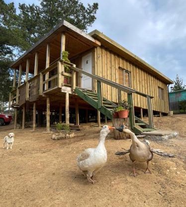 Cabaña los Gansos Playa Bosque Grill Wi-Fi TV