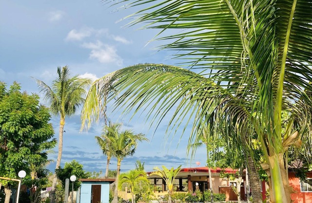 Cabilao Sunset Dive & Beach Resort