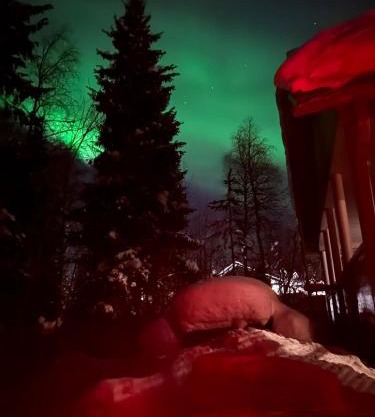 Cabin and outdoor hot tub in Levi