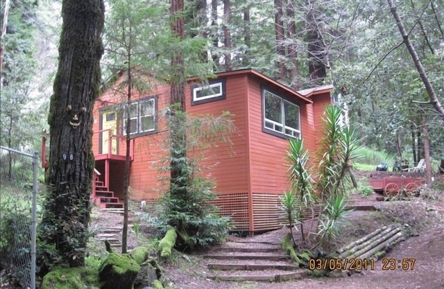 Cabin Getaway, Surrounded by Forest, Relaxing, Occidental Ca