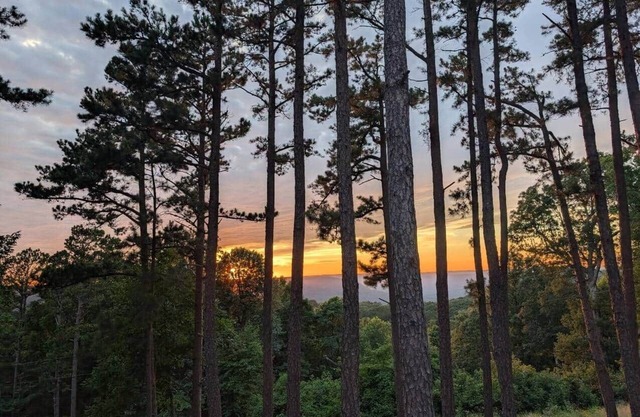 Cabin in the Woods @ J and J's