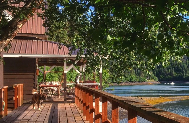 Cabin with incredible sunset views of Halibut Cove!