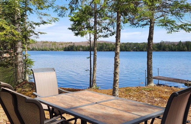 Cabin with private peninsula on Presque Isle Chain of Lakes!