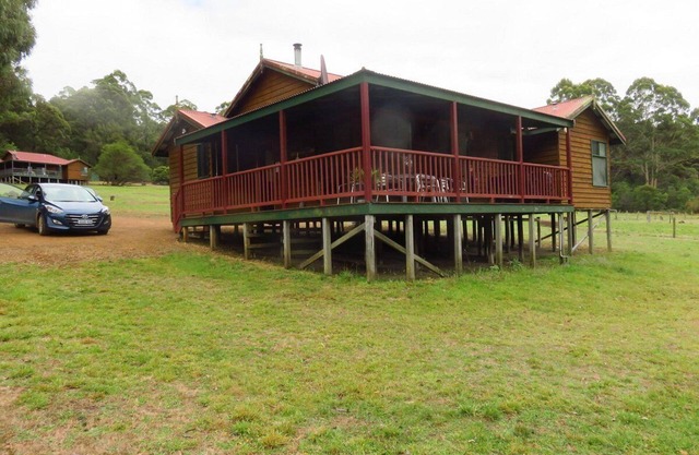 Cabins nestled in 170 acres of old growth forest near the Valley of the Giants.