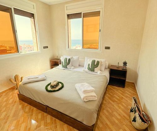 cactus surf experience