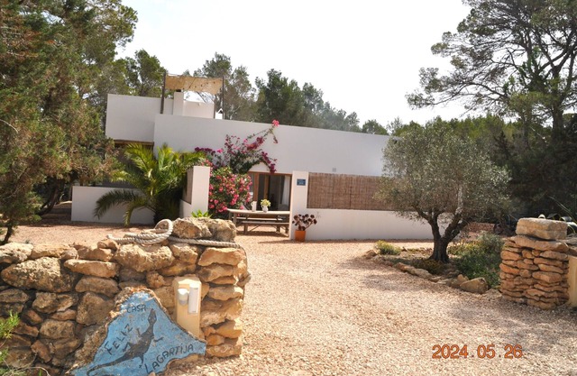 Cala Saona beach 10 min walk - Large villa - absolute calm - DRIAT 17291