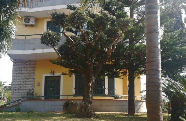 Callimaco's Home - COMFORT