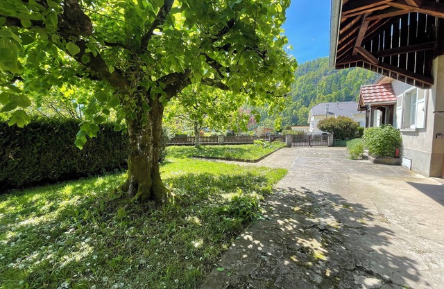 Calm, spacious and relaxing holiday home in the heart of the Vosges mountains