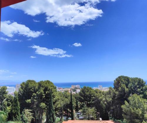 Camino del pinar, chalet