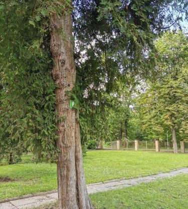 Camper and tent place in Jelgava