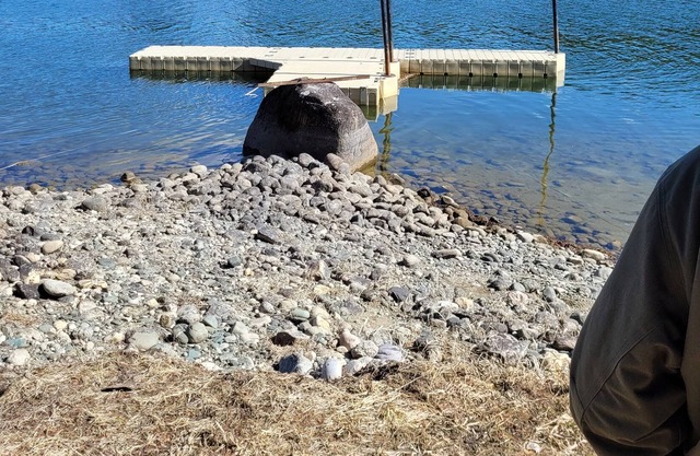 Camping at the River