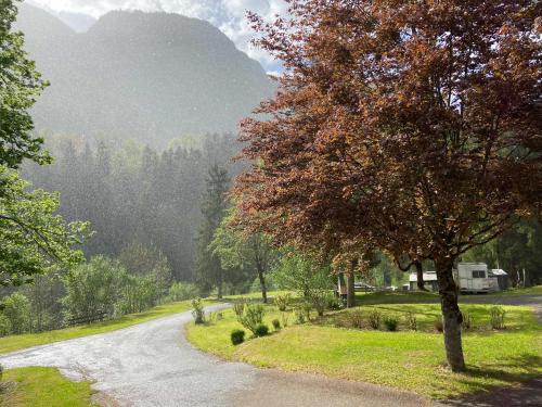 Camping les Marronniers