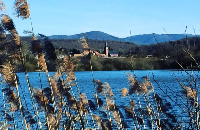 Campsite L'Etang des Forges* - Chalet Moréa 3 Rooms 5 People