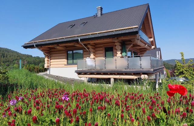 Canadian log cabins in the Hunsrück with lake and national park views