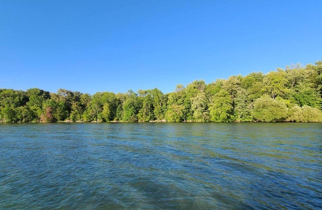 Canadiana Camper on Lake Simcoe