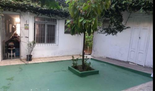 CARNAVAL 2025 em SALVADOR