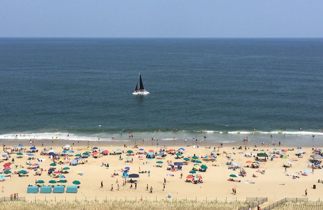 Carousel Oceanfront Condo w/Stunning Ocean & BayViews -Luxury Updates!