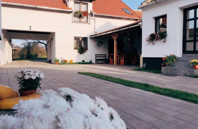 Casa Badea