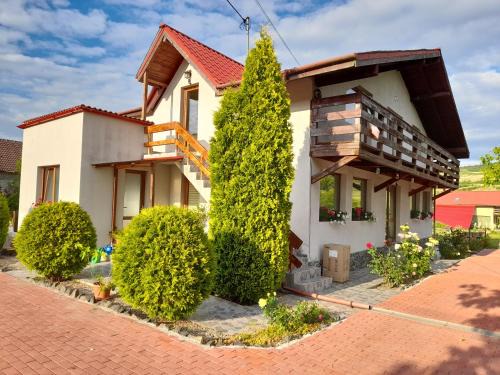 Casa cu flori