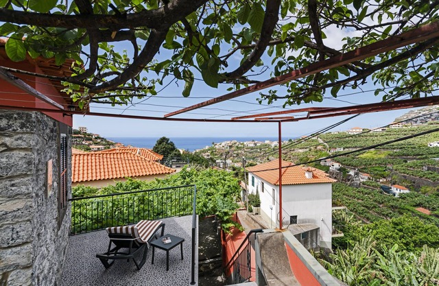 Casa da Aldeia, smell the aroma of grape harvest