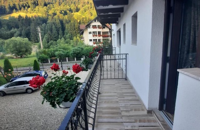 Casa Dana Olteanu