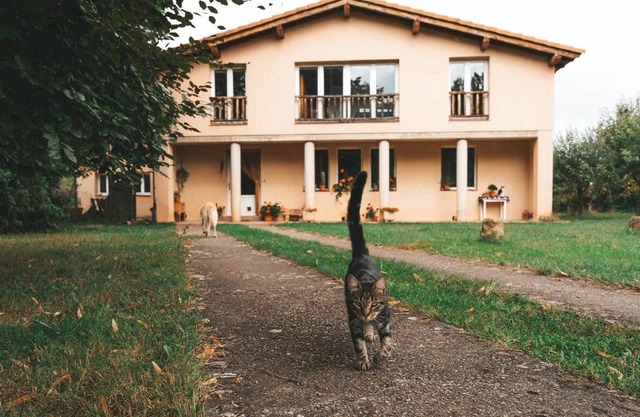 Casa de Campo La Solana