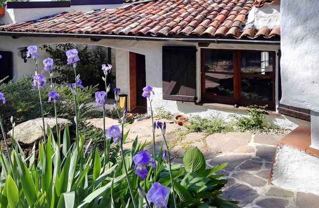 Casa del Pittore by Interhome