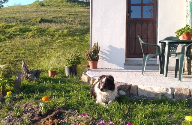 Casa El Collau