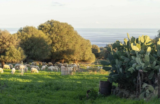 Casa in Pietra in Dorgali