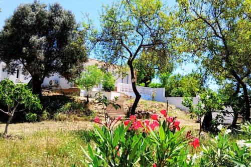 Casa Jacaranda Peace and Sunshine