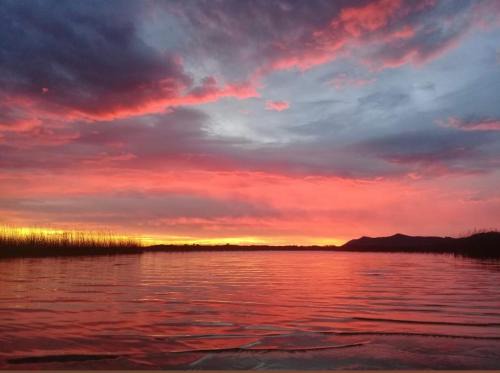 Casa na lagoa do Palmital com acesso à lagoa na propriedade e localizada apenas a 13 km da praia de Atlântida Sul e do Centro de Osório Lugar com Natureza-Wi-Fi 1 cama de casal e um beliche 2 solteiros